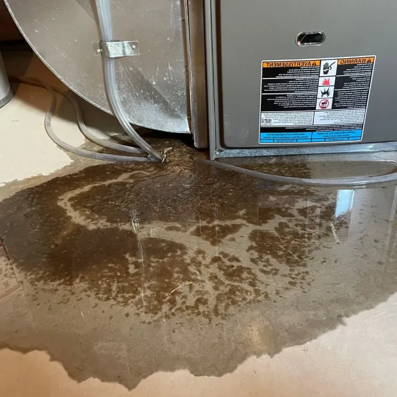 Pipe Burst and Leak Restoration in Wolcott, CT