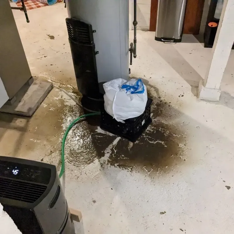 Sewage Backup Cleanup Service in Wolcott, CT